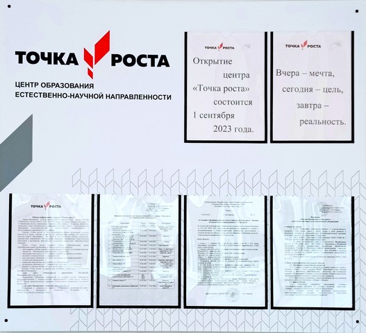 Точка Роста